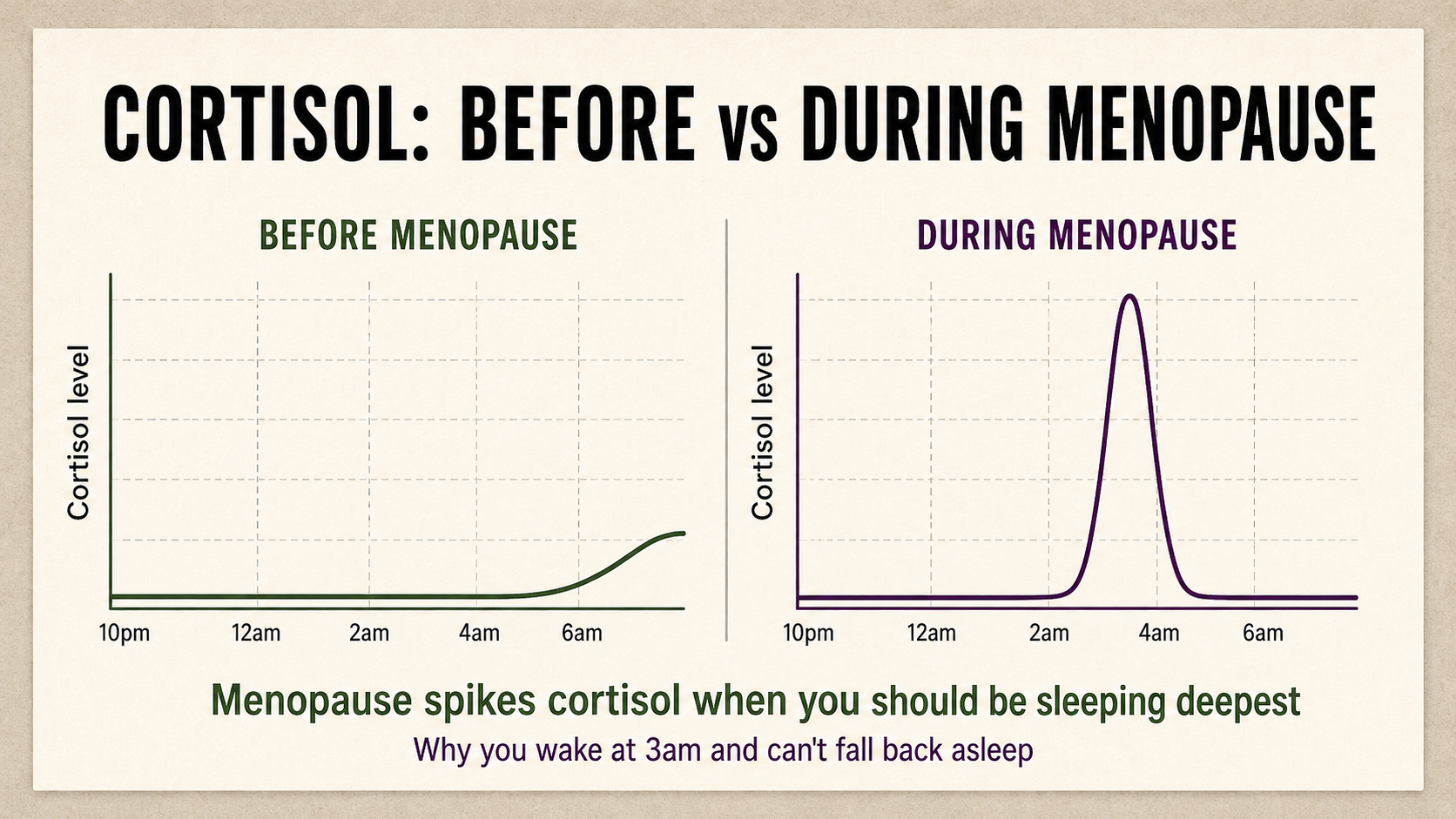 Chart of the 3am cortisol cascade — cortisol spikes between 2am and 4am during menopause, instead of rising slowly toward wake time