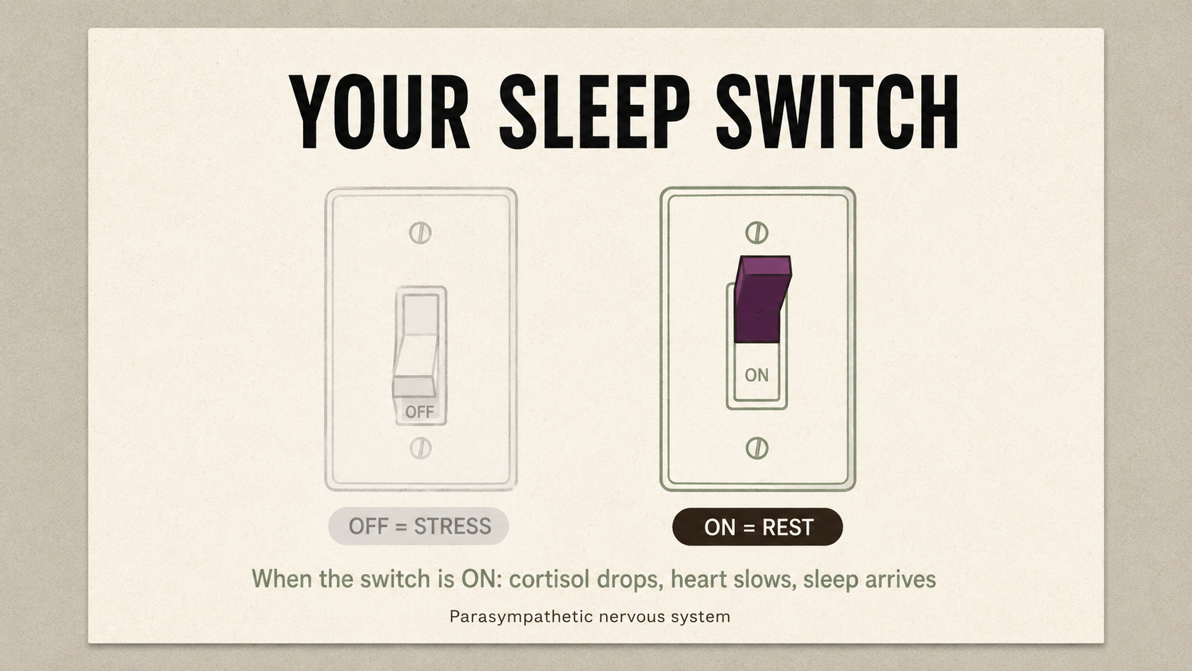 Two switches labeled STRESS OFF (sage green, calm moon) and STRESS ON (red, lightning bolt) — your body's stress switch